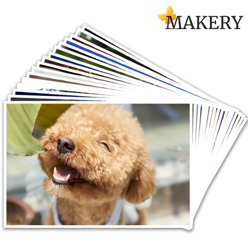 1500원으로 폰 속 추억을 현실로! 메이커리 사진인화 서비스