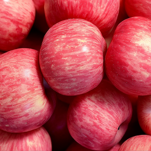 못생겼지만 맛은 꿀! 가성비 갑 꿀사과, 현명한 선택일까? 사과5kg